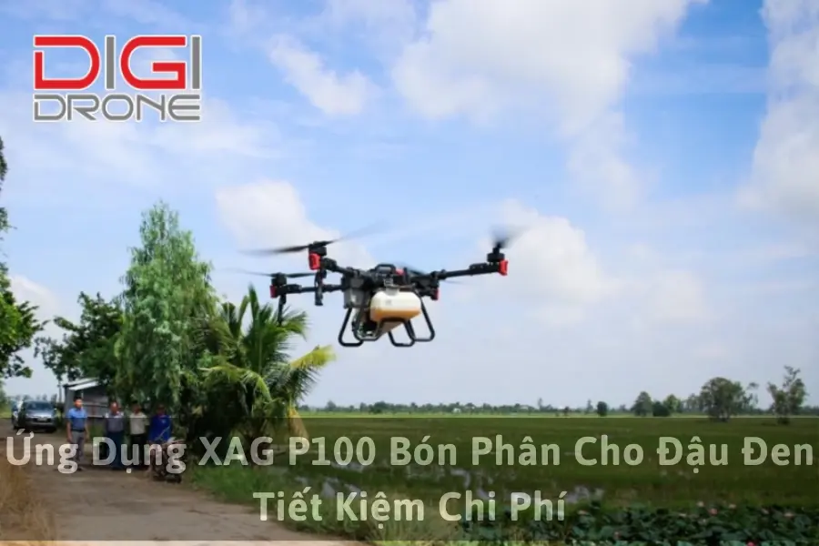 Ứng Dụng XAG P100 Bón Phân Cho Đậu Đen Tiết Kiệm Chi Phí