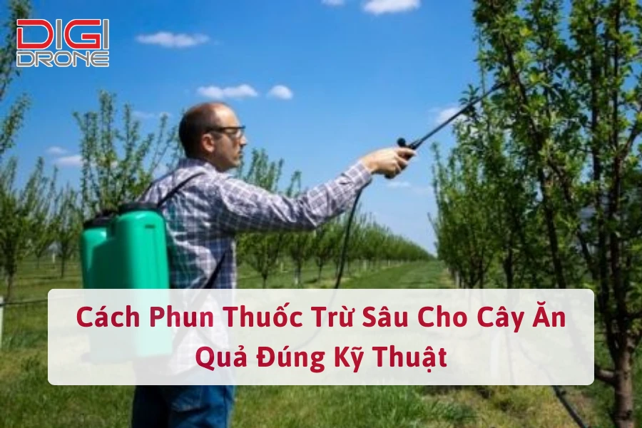 Cách Phun Thuốc Trừ Sâu Cho Cây Ăn Quả Đúng Kỹ Thuật