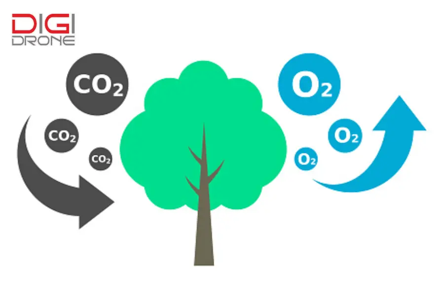 Tối ưu hóa nồng độ CO2 cho cây trồng cụ thể Tối ưu hóa nồng độ CO2 cho cây trồng cụ thể