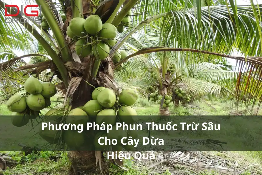 Phương Pháp Phun Thuốc Trừ Sâu Cho Cây Dừa Hiệu Quả