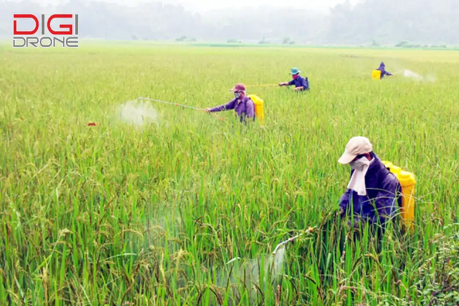 Lựa chọn thuốc trừ sâu phù hợp