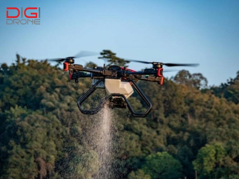 Những ứng dụng thực tế khi XAG P100 tưới nước cho bưởi