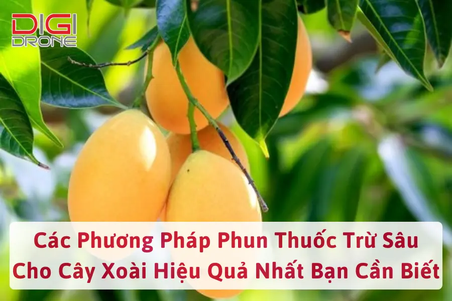 Các Phương Pháp Phun Thuốc Trừ Sâu Cho Cây Xoài Hiệu Quả Nhất Bạn Cần Biết