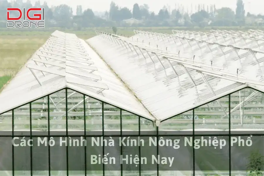 Các Mô Hình Nhà Kính Nông Nghiệp Phổ Biến Hiện Nay