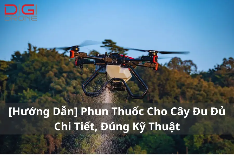 [Hướng Dẫn] Phun Thuốc Cho Cây Đu Đủ Chi Tiết, Đúng Kỹ Thuật