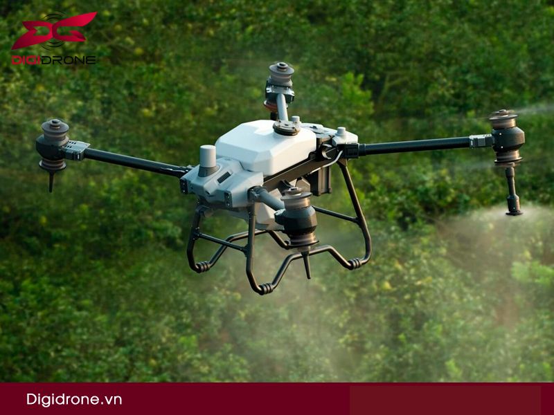 Hệ thống phun thuốc sâu cho sầu riêng