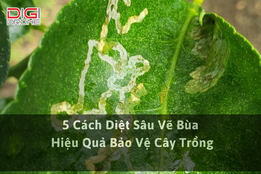 5 Cách Diệt Sâu Vẽ Bùa Hiệu Quả Bảo Vệ Cây Trồng