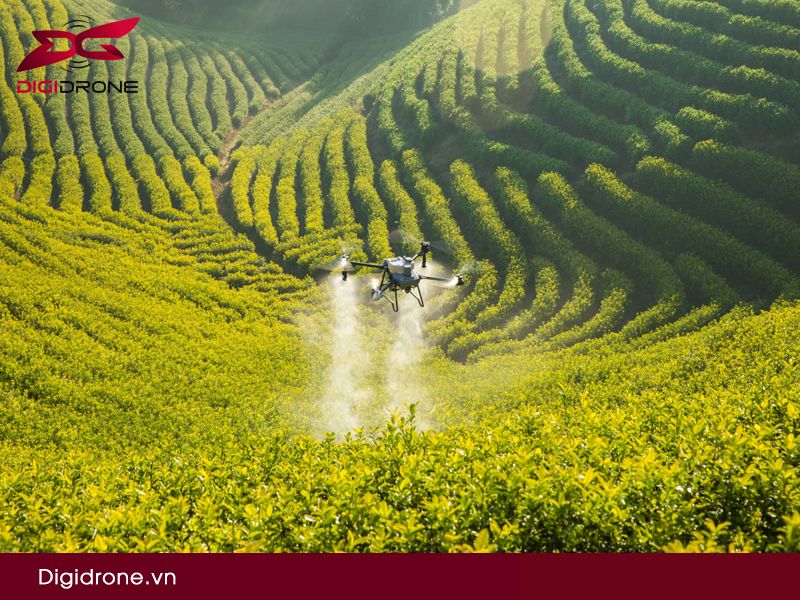 Các loại thuốc trừ sâu sinh học, hóa học phổ biến