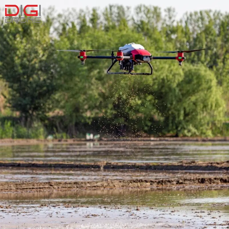 Cách pha chế và phun thuốc cho cây vú sữa đúng kỹ thuật