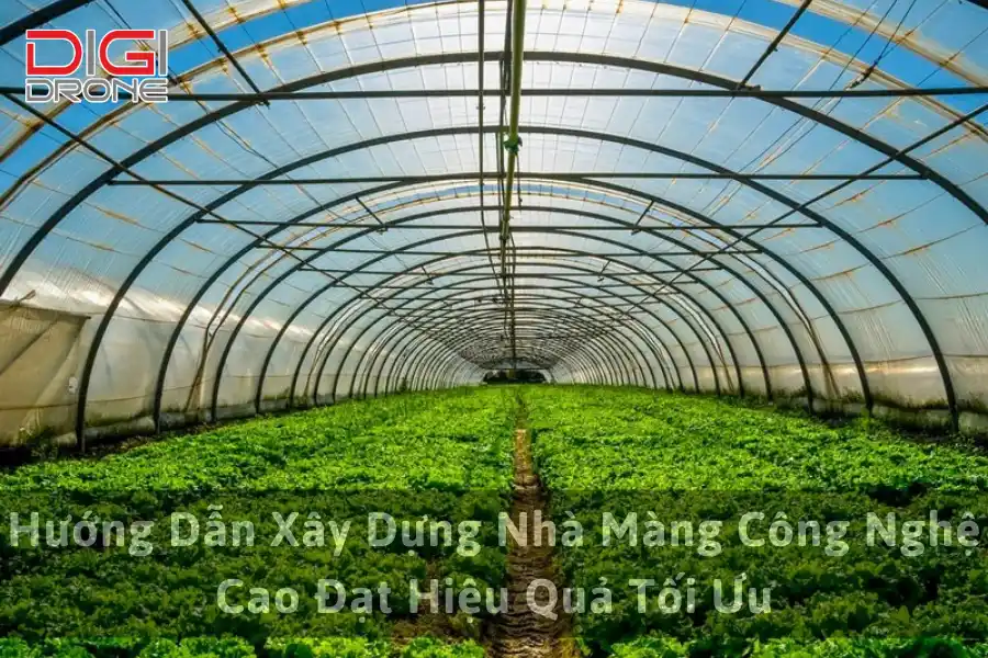Hướng Dẫn Xây Dựng Nhà Màng Công Nghệ Cao Đạt Hiệu Quả Tối Ưu