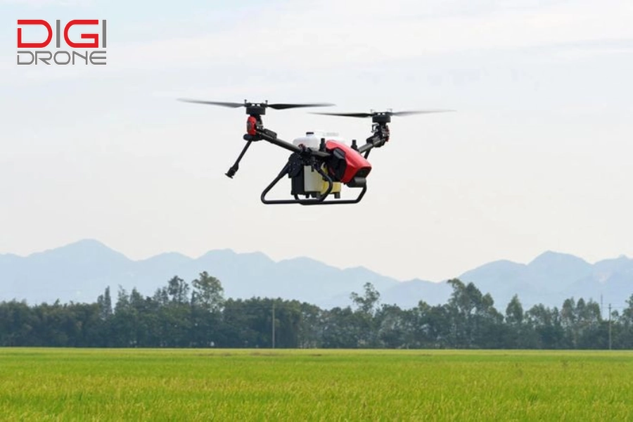 DJI Phantom 4 Multispectral Ứng dụng của máy bay nông nghiệp