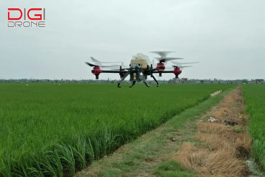 Phun thuốc bằng Drone