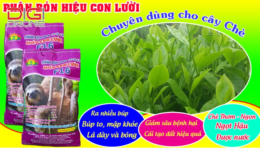 Các loại phân bón phổ biến cho cây chè