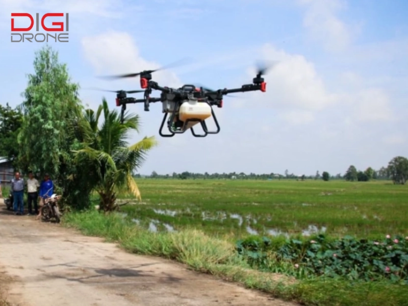 Ứng dụng thực tế của XAG P100 trong tưới nước cho dưa hấu