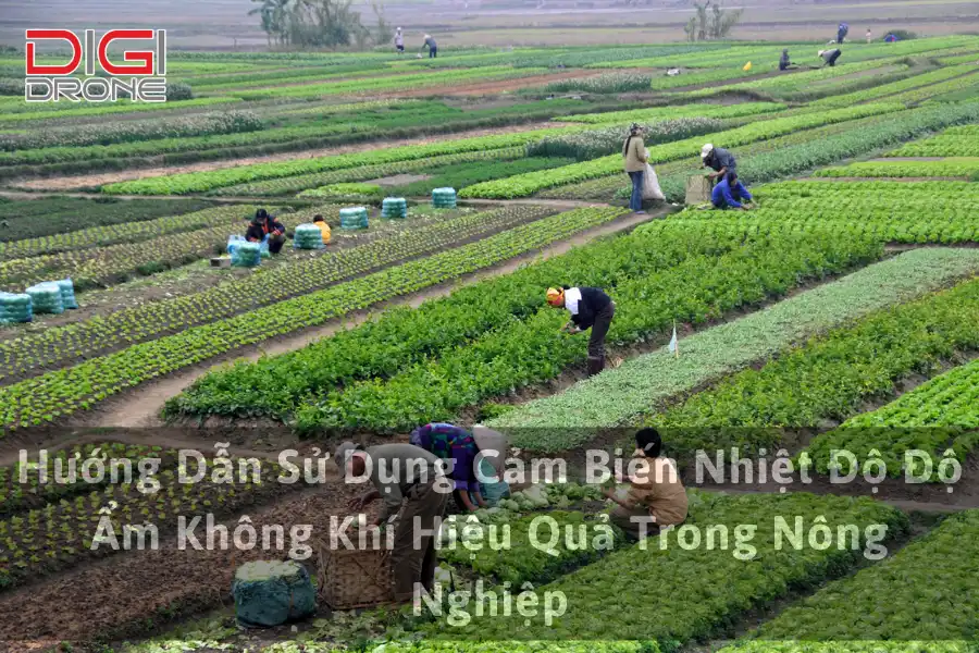 Hướng Dẫn Sử Dụng Cảm Biến Nhiệt Độ Độ Ẩm Không Khí Hiệu Quả Trong Nông Nghiệp