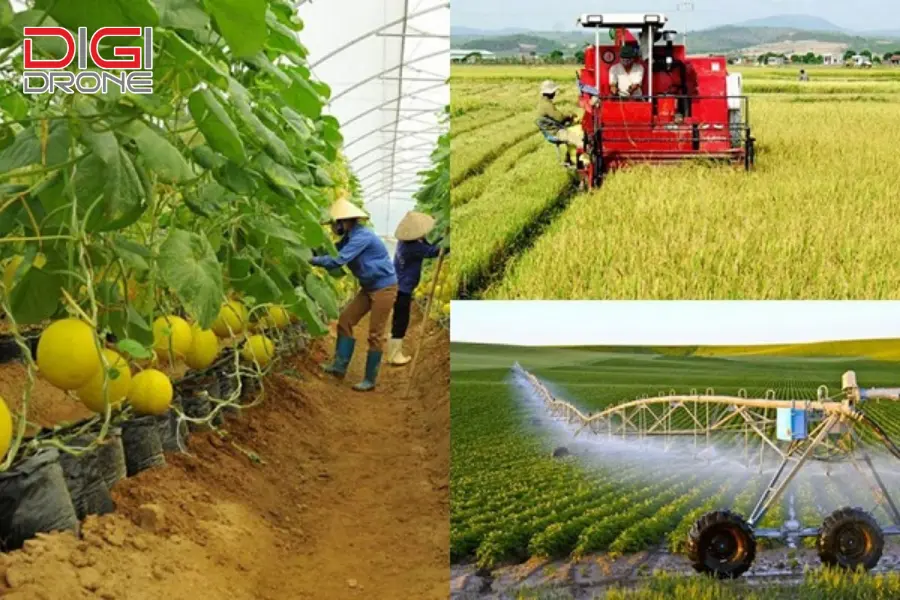 ứng dụng công nghệ cao trong trồng trọt