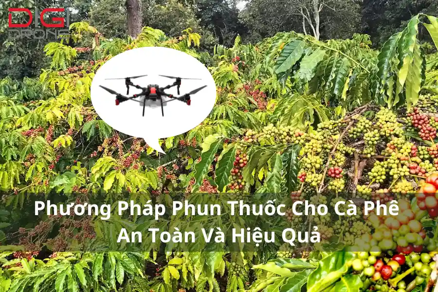 Phương Pháp Phun Thuốc Cho Cà Phê An Toàn Và Hiệu Quả