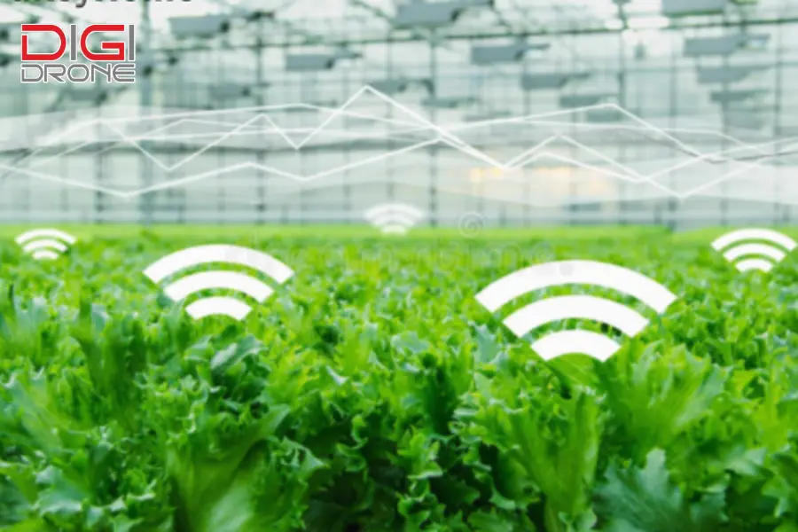 Các ví dụ thực tế về ứng dụng IoT trong nông nghiệp tại Việt Nam
