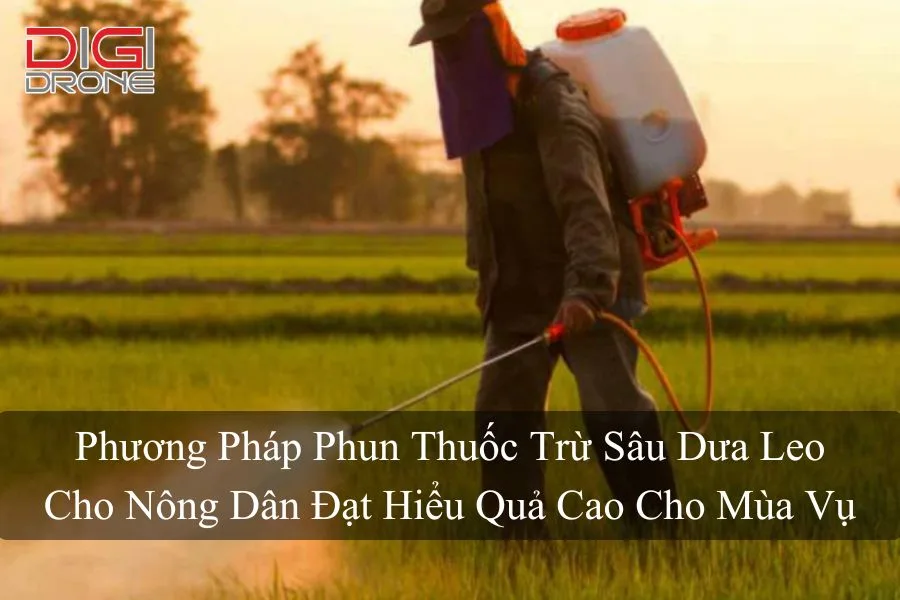 Phương Pháp Phun Thuốc Trừ Sâu Dưa Leo Cho Nông Dân Đạt Hiểu Quả Cao Cho Mùa Vụ