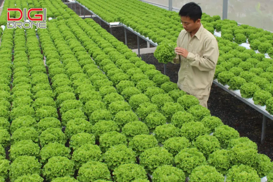 Triển vọng và xu hướng phát triển công nghệ nông nghiệp Triển vọng và xu hướng phát triển công nghệ nông nghiệp