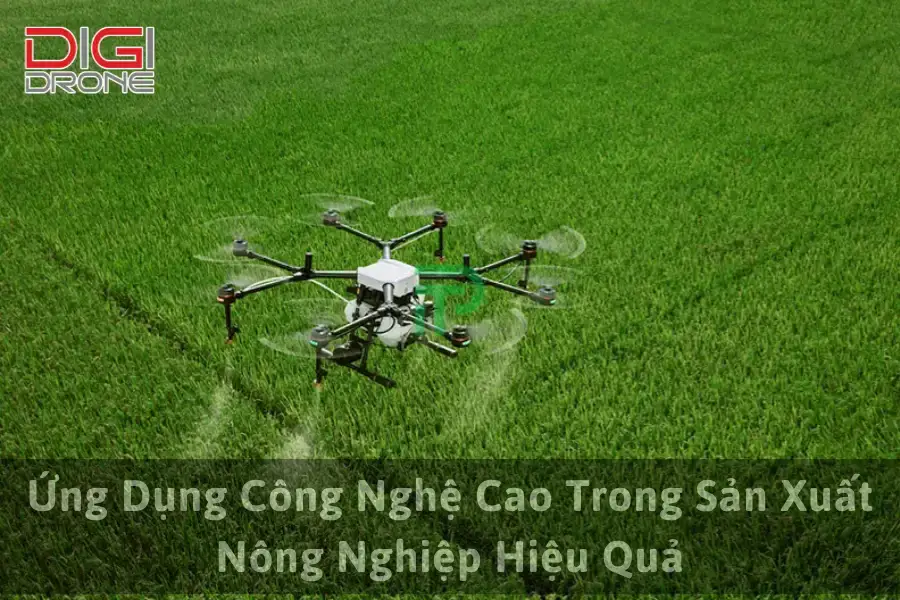 Ứng Dụng Công Nghệ Cao Trong Sản Xuất Nông Nghiệp Hiệu Quả
