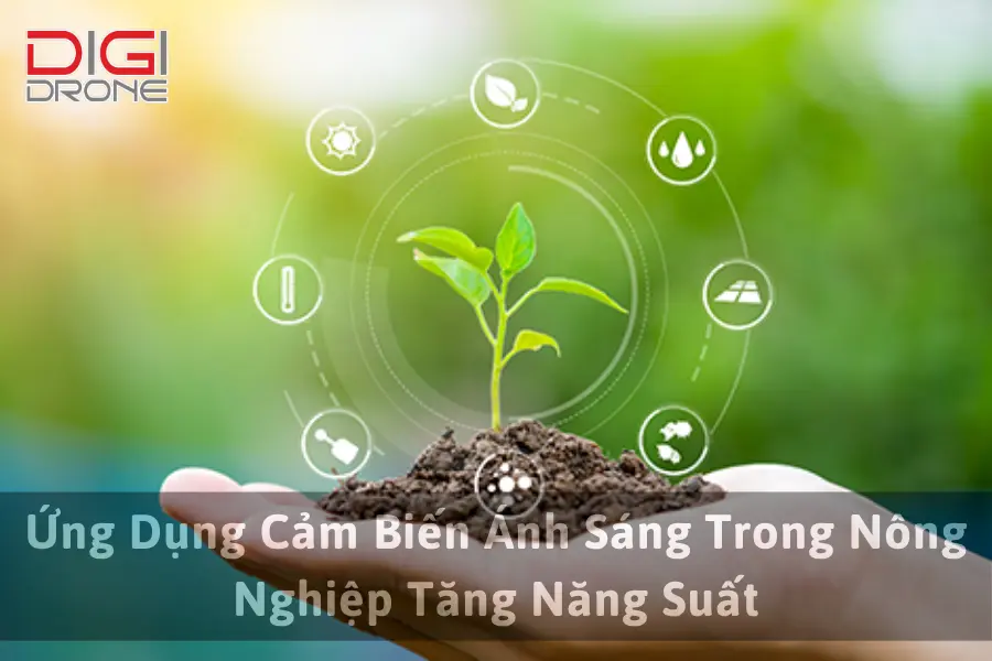 Ứng Dụng Cảm Biến Ánh Sáng Trong Nông Nghiệp Tăng Năng Suất
