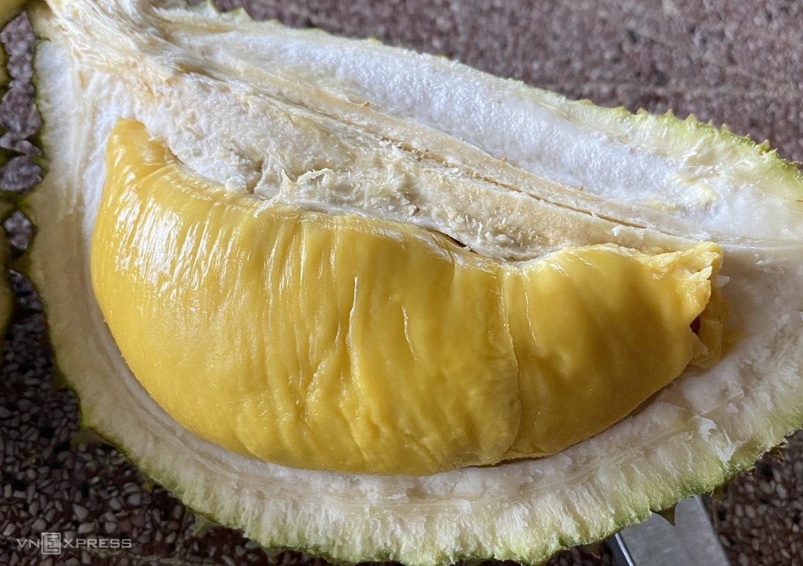 Cây sầu riêng Musang King (Miêu Sơn Vương) & kỹ thuật trồng