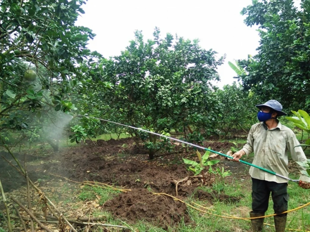 Béc tưới phun thuốc sầu riêng